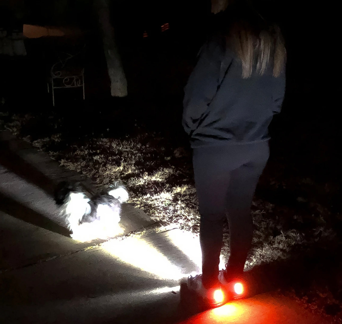 High Beam Women's Smart Shoes for Runners
